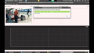 Tutorial: SlowmoVideo