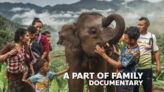 A PART OF FAMILY (SHORT DOCUMENTARY)