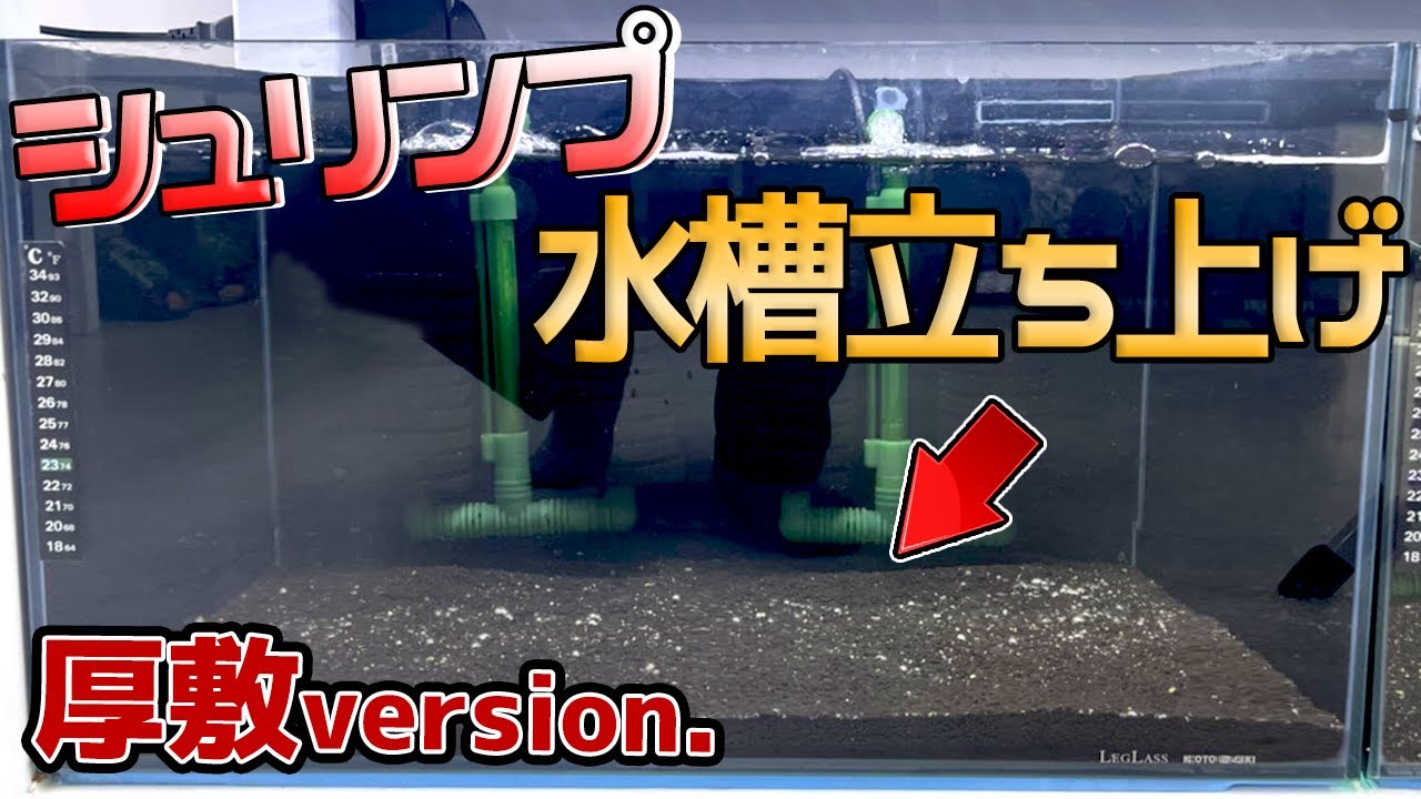 超簡単！厚敷水槽の立ち上げが簡単すぎる。【ローキーズネオ　水槽立ち上げ厚敷Version】