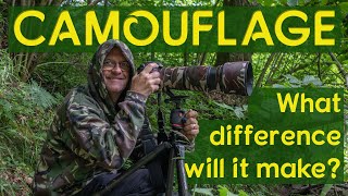 Photographing Wild Birds  What difference does camouflage clothing make?