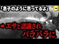 ペットのカバを息子のように育てる男。愛情は届かずただのエサと認識されて…「ハンフリー・カバ事件」