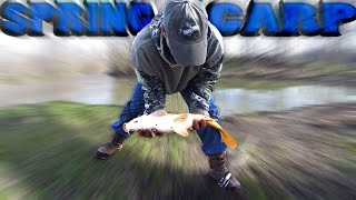 Spring Carp Fishing Riptear