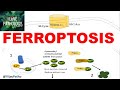 FERROPTOSIS : Iron dependent Programmed cell death. Mechanism , Applications.