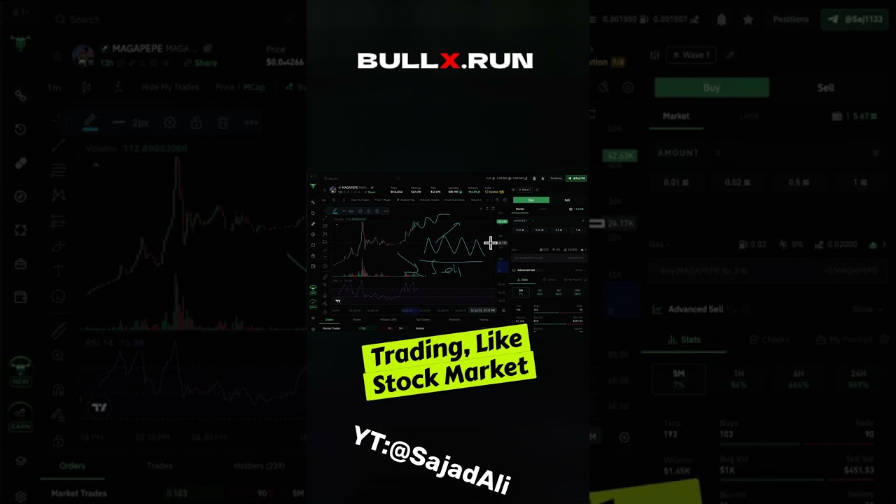 Risks of Meme Coin Trading