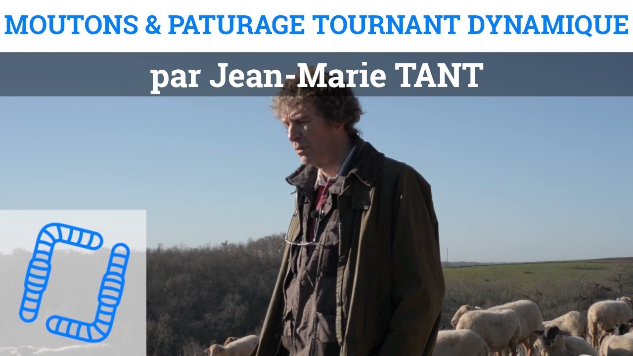 Pâturage Tournant Dynamique & moutons - Entretien avec Jean-Marie TANT