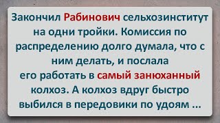 ✡️ Как Передовик Рабинович Колхоз Поднимал! Еврейские Анекдоты!Анекдоты про Евреев! Выпуск #307