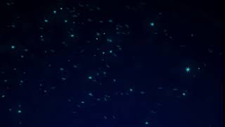 No Copyright Creator - Snow Overlay FREE Download FULL HD