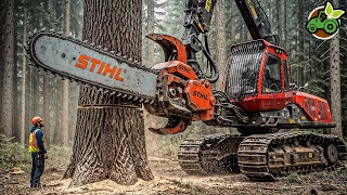 TOP 10 Most Powerful Forestry Machines You Need To See | Powerful Machines That Are At Another Level