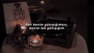 The Phantoms - you are my sunshine cover •türkçe çeviri•
