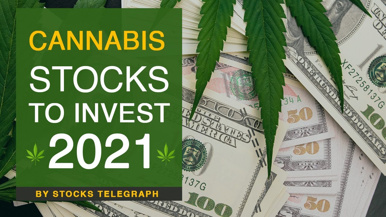 Cannabis Stocks For You To Invest In 2021 | Cannabis Industries Explained | Cannabis Stocks