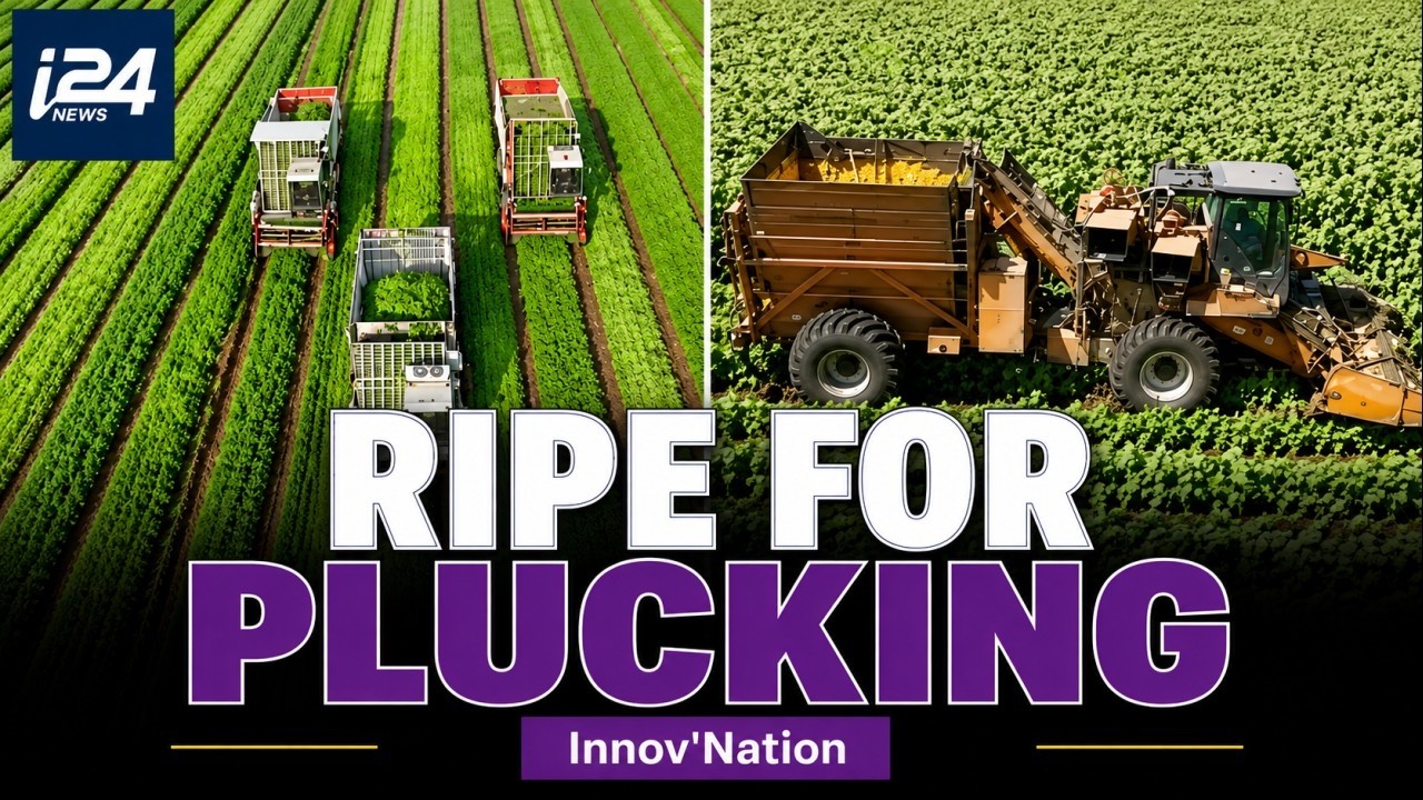 Thumbnail for Israeli robots target $10B fruit harvesting market