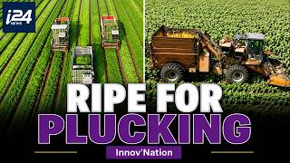 Israeli Robots Target $10b Fruit Harvesting Market