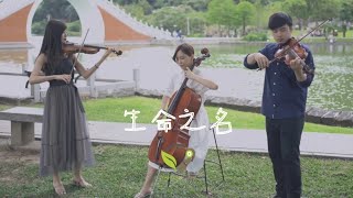 Video thumbnail of "いのちの名前／生命之名－神隱少女（Cover by 香草帕克樂團 Vanilla Park）"