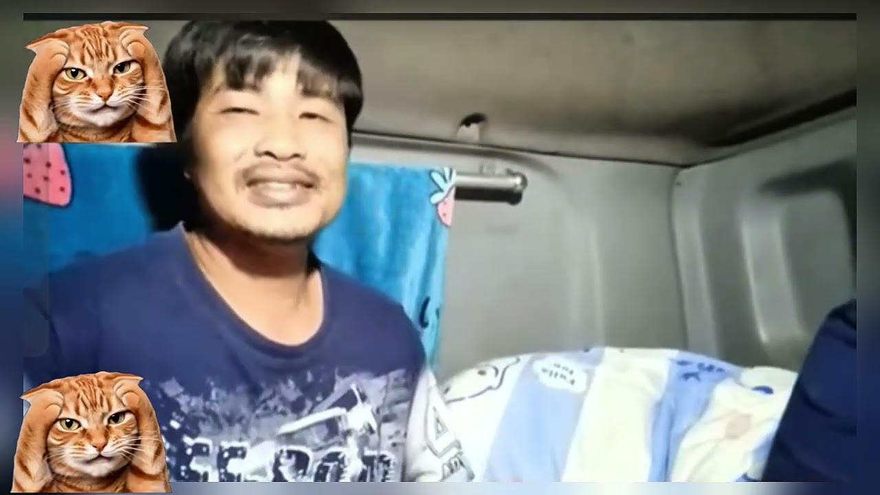 ดูกันไป 