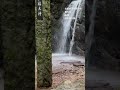 勝光寺の滝
