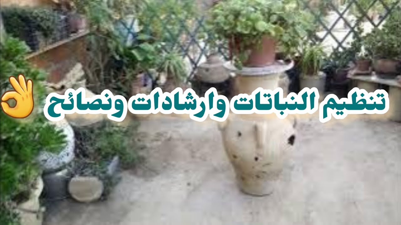 تنظيم نباتاتي وارشادات  ونصاءح حول النباتات المنزلية