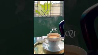 How to add malayalam fonts to your video | easy capcut tutorial #editing #capcut #fonts #tutorial