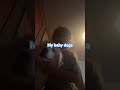 that's just my small doggo #lifeisbutadream #funny