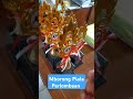Alhamdulillah SMP negeri 3 Wanasari borong Juara perlombaan Atletik Popda silat