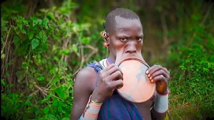 Suri tribe woman with large lip plate Omo Valley Ethiopia