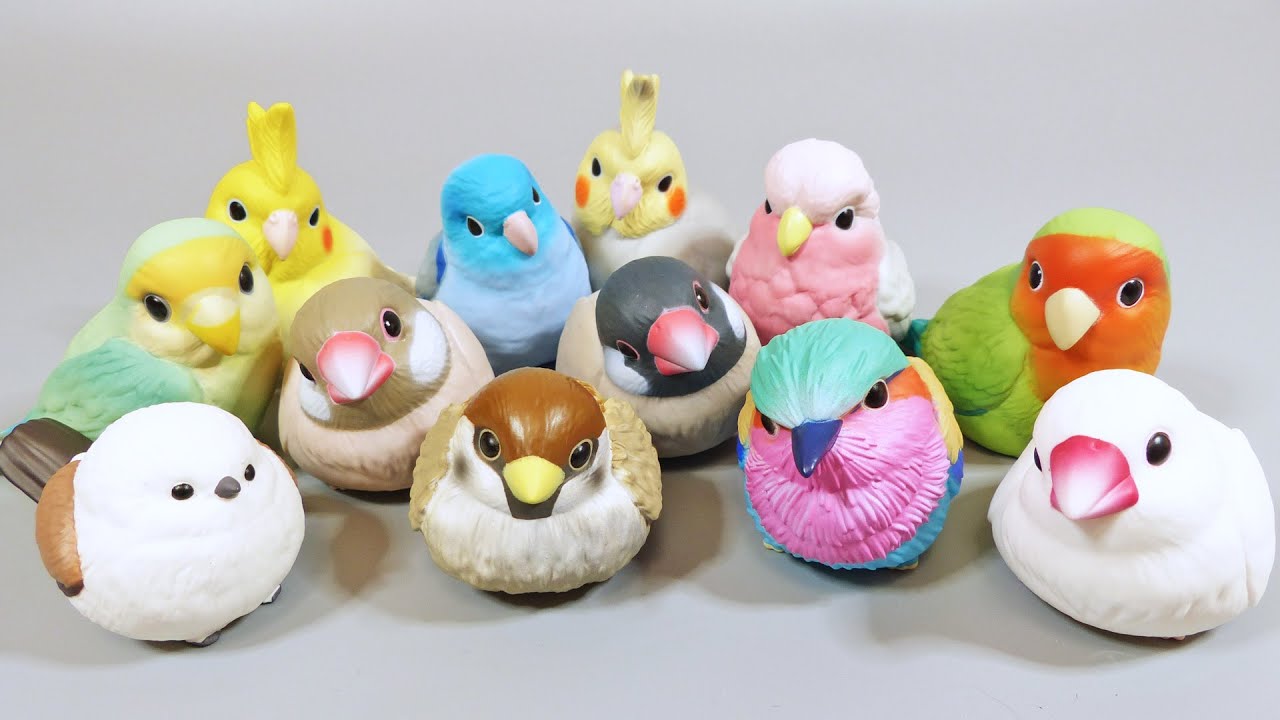 かわいい かわいい食玩 かわいい 鳥 かわいい鳥 可愛い 食玩 かわいい 鳥 てのりフレンズ1r Youtube