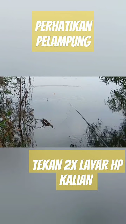 perhatikan jangan berkedip #fishing #hobymancing #mancingliar