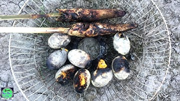 Trứng Vịt Nướng Đất - Cá Lóc Nướng Trui Món Ngon Dân Dã Miền Tây | NGÃ NĂM TV