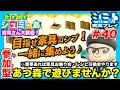 【あつ森実況】初見大歓迎！たすけてシュミッ島＠目指せ家具コンプ！需要あれば家具おさわり会(カタログ登録会)＆レシピ交換会などやる参加型ライブ配信！#040【あつまれどうぶつの森】