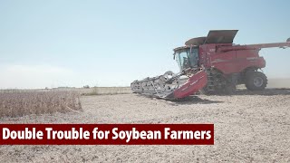 Double Trouble for Soybean Farmers