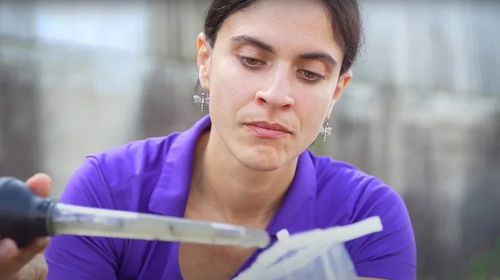 What You Don't Realize About LSU...👀