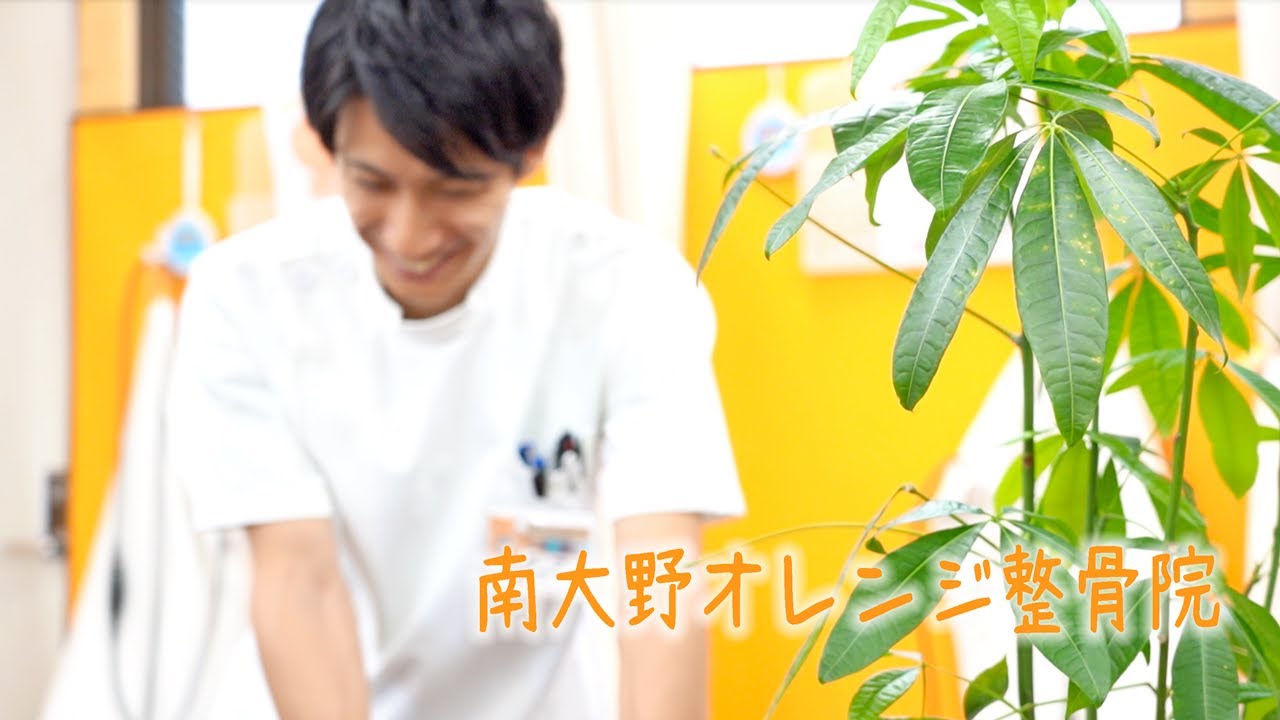 整骨院 南大野オレンジ整骨院 様 ストリートビュー撮影 Meo対策初期構築 Cm動画制作 60 000 Next Innovation株式会社 ネクストイノベーション株式会社google認定パートナー ストリートビュー Meo対策 整骨院 南大野オレンジ整骨院 様 ストリートビュー撮影 Meo対策初期構築 Cm動画制作 60 000 Next Innovation株式会社 ネクストイノベーション株式会社google認定パートナー ストリートビュー Meo対策