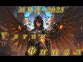 Аллоды Онлайн МЧД 2025: Финал этап V (Армада vs Конгломерат) F2P