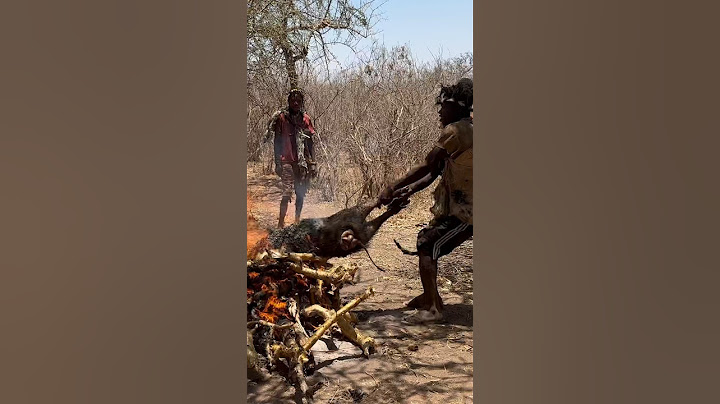 Eating With The Hadzabe Tribe In Tanzania: A Unique Experience!🇹🇿