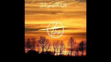 قال قرينه ربنا ما أطغيته ولكن كان في ضلال بعيد💛تلاوة مؤثرة جدا 💛 انس الغامدي @HAIM_AISSA