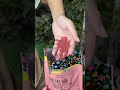 月季是個藥罐子,當月季發芽以後,病蟲害一定要提前預防,接下來一整年幾乎沒有病蟲害#月季養護 #病蟲害
