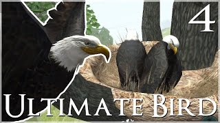 A Magnificent New Nest & Marvelous Mate!!  Ultimate Bird Simulator  Episode #4