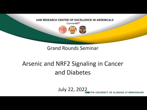 Arsenic and NRF2 Signaling in Cancer and Diabetes | UAB CounterACT