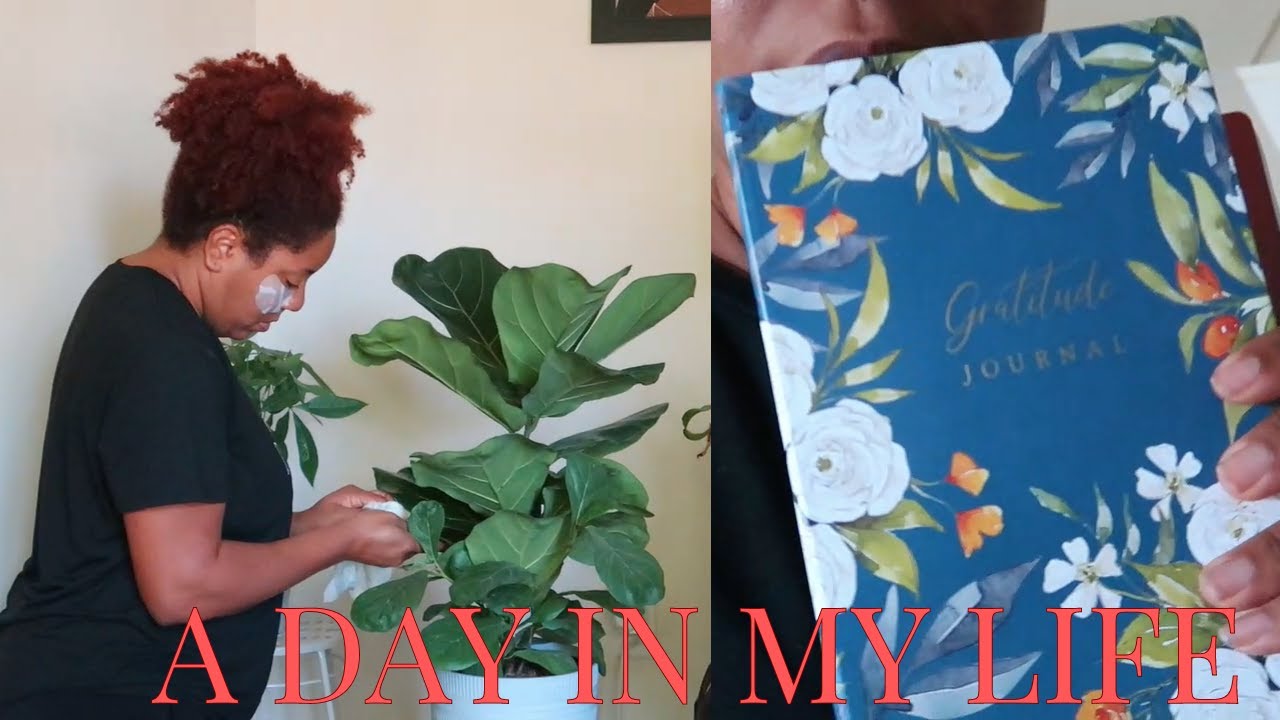 VLOG JOURNALING DUSTING OFF MY INDOOR PLANT TRYING THE NEW CHICK