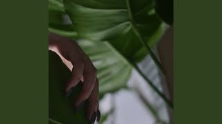 Soft Balance