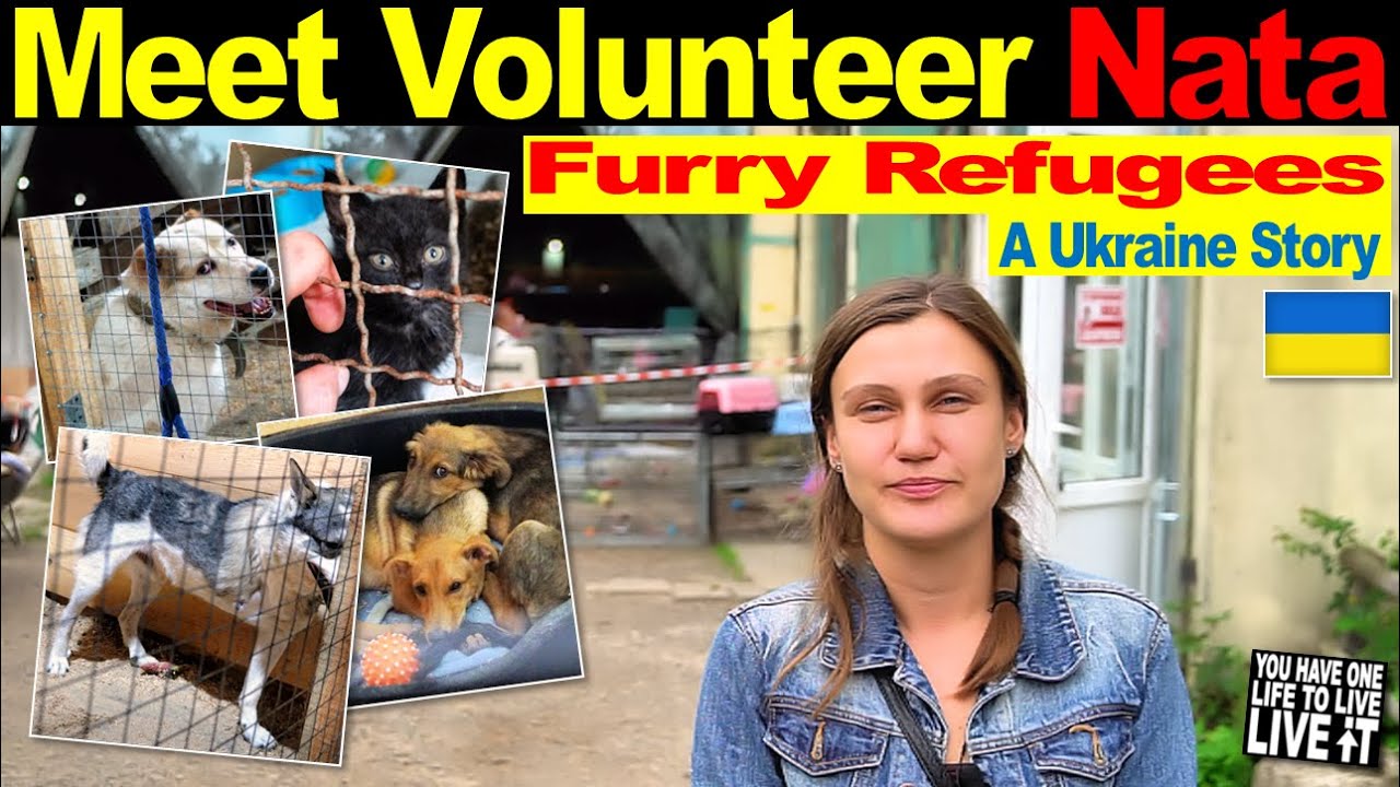 A UKRAINE STORY: Animals Caught in War (Local Shelter in Lviv NEEDS HELP Saving Furry Refugees)