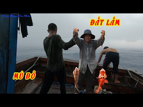 CÂU CÁ BIỂN TRƯỜNG SA 3│BUÔNG CÂU TRỜI MƯA GẶP CÁ MÚ ĐỎ HIẾM│CUỘC SỐNG DÂN BIỂN.