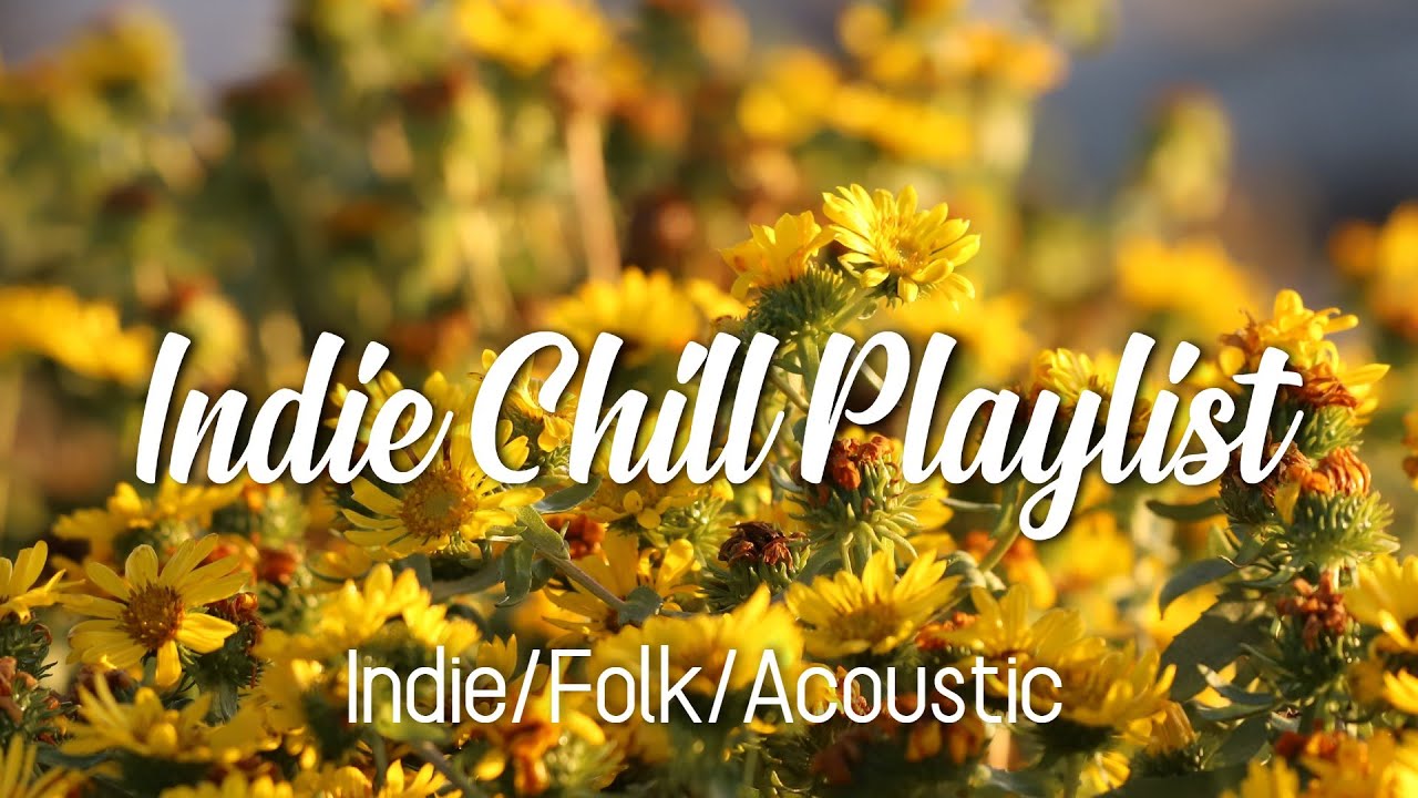 Peaceful Morning ~ Indie Alternative Chill Playlist ~ November 2021