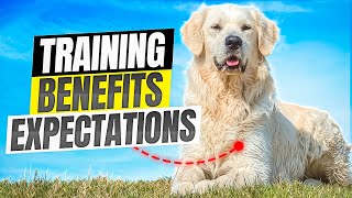 How Realistic Expectations In Training Benefit Your Adolescent LGD by Benson Ranch Livestock Guardian Dog Training 36 views 7 days ago 18 minutes