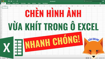 Cách Chèn Ảnh Vào Excel Vừa Khít Trong 1 Ô Nhanh Chóng Nhất
