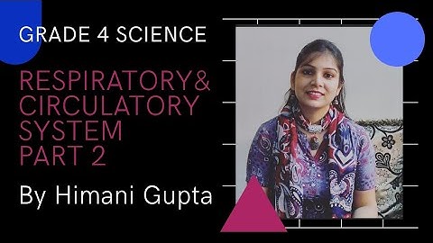 Grade 4| L-5 |Circulatory System|Part 2| Explained by Ms Himani Gupta