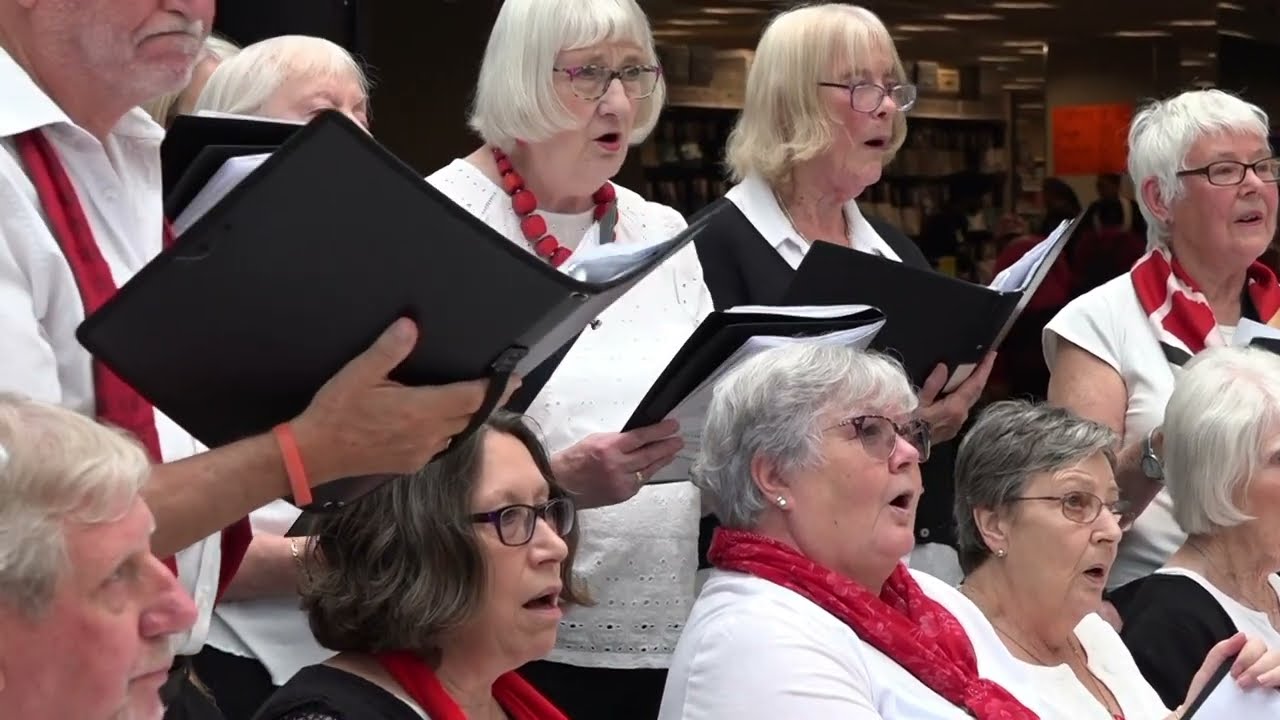 Silver Tones Summer Concert 2025