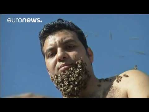 Egyptian beekeeper grows a “beard of bees" Hqdefault