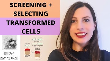 SCREENING & SELECTING TRANSFORMED CELLS. Help with in vivo cloning for A-level Biology