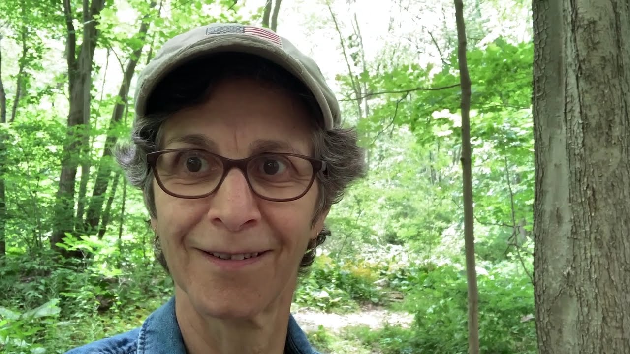 Fungal Forest Compost Tea