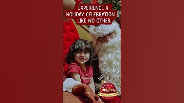 Christmas Animal Kingdom At Sydney Zoo